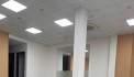 Cho thuê mặt bằng kinh doanh Spa, Mi nail Phố Hai Bà Trưng 80m2, mặt tiền 10m, 20 triệu